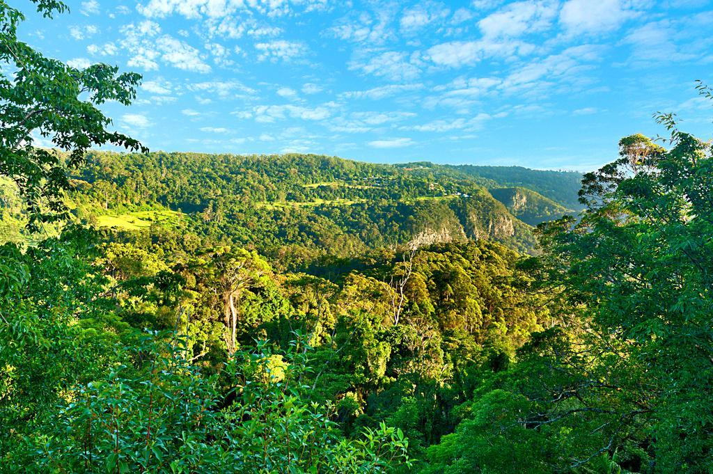 Escarpment Retreat & Day Spa For Couples Mount Tamborine Dış mekan fotoğraf